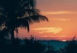 wedding phtographer Fort Myers