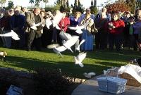 Weddings Fort Myers