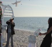 doves weddings Lee County