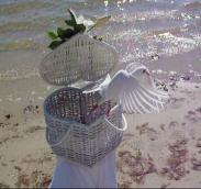 doves weddings Marco Island